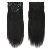 Straight Raw Indian Clip-Ins (Jet Black)